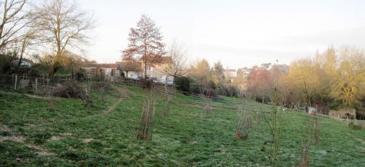 Accueil-Boutique de Miel&Safran